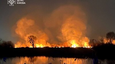 У Києві горить екопарк