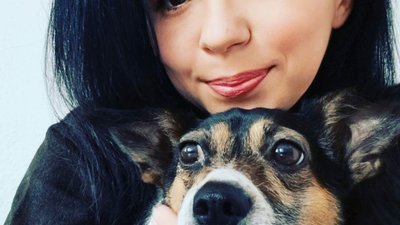 Історія собаки, яка лежала на уламках зруйнованого російською ракетою дому на Львівщині (ФОТО, ВІДЕО)