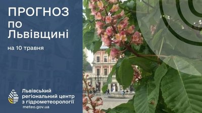 На Львівщині знову заморозки