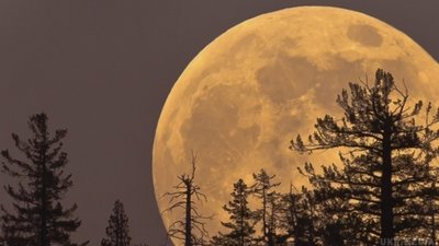 Цієї ночі можна побачити Супермісяць