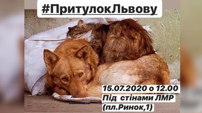 Львів‘ян закликають прийти під міську раду, щоб тварини отримали дах над головою