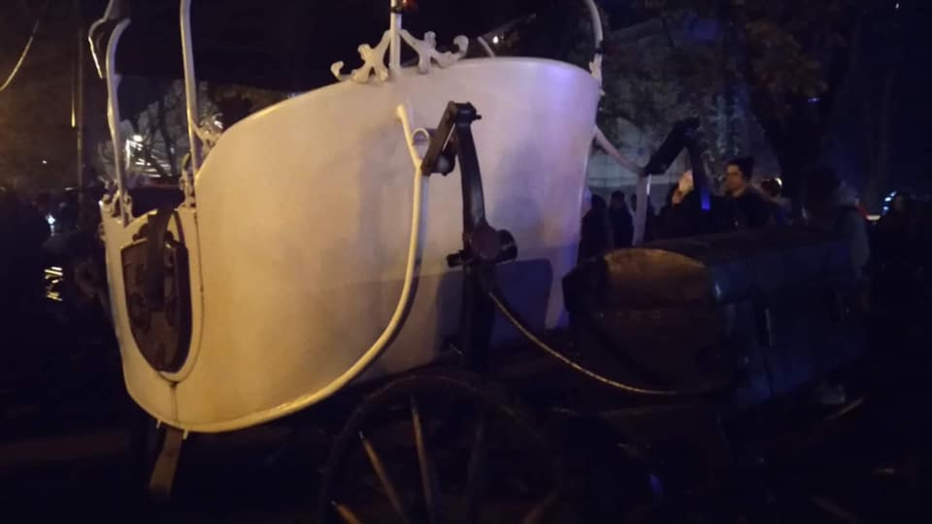 У центрі Львова карета на пішохідній зоні знесла лавку: один кінь ледве дихає. Фото Варта-1