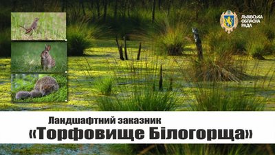 Львівська обласна рада у суді відстояла заказник “Торфовище Білогорща”