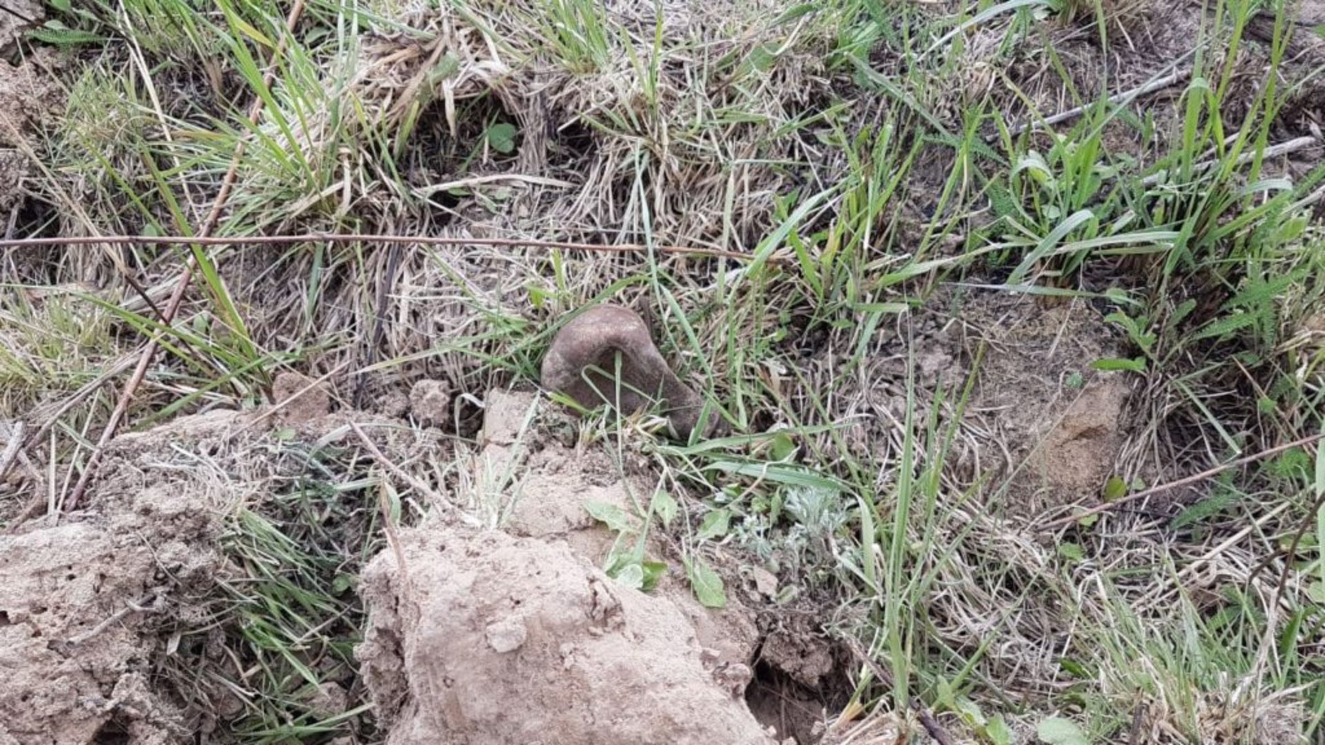 У Львові виявили 2,4 кг ртуті. Фото: ДСНС.