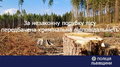 На Самбірщині виявили незаконну рубку дерев