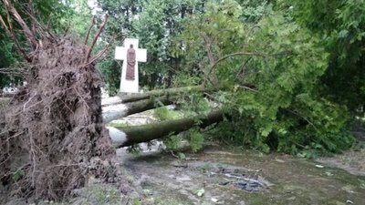 По сусідству з Львівщиною пронеслася піщана буря: знеструмлені села, вирвані дерева (ФОТО)