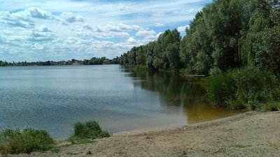 На Львівщині  пікнік на природі став смертельним для жительки Кам‘янеччини