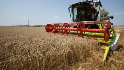 На Львівщині обсяг сільськогосподарського виробництва зріс на 8%