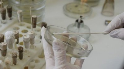 У Львові 11 людей отруїлися у двох закладах харчування