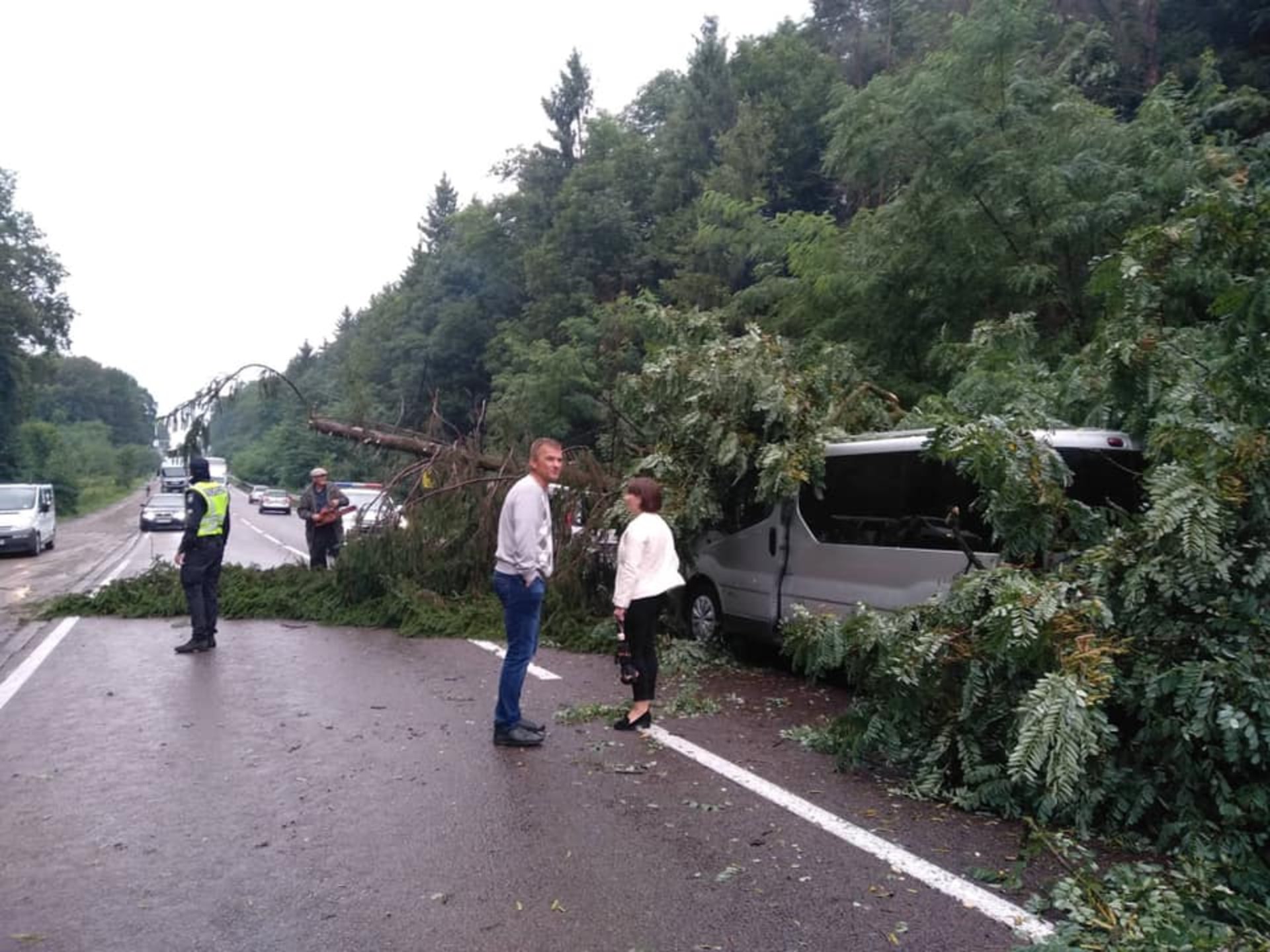 Як на міжнародній трасі на Львівщині дерево понищило автомобілі. Фото Варта-1