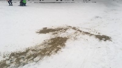 У Львові комунальники вибірково посипають пішохідні доріжки (ФОТО)