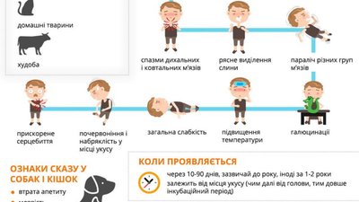 У Яворівській громаді зареєстровано випадок сказу лисиці