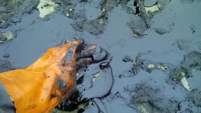 На річці поблизу Борислава, що на Львівщині, виявили нафтові плями