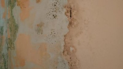 Керівника львівського садочку обіцяють притягнути до відповідальності