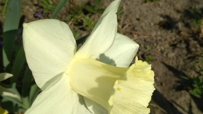 У Львові очікують суттєве потепління