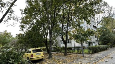 У Львові просять обрізати гілки дерев (ФОТО)