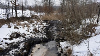 На Львівщині витік нафти (ФОТО)