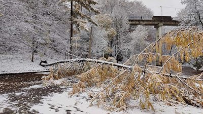 У Києві затопило автомобілі (ВІДЕО)