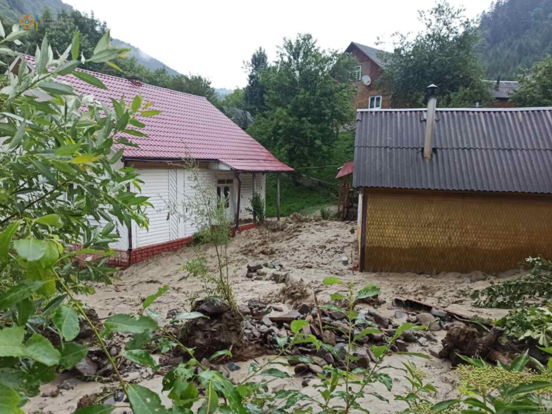 На Закарпатті затопило будинки, фото ДСНС