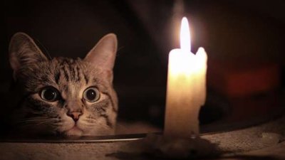 Половина Новояворівська залишилась без світла