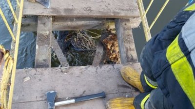 На Львівщині повінь може пошкодити підвісний міст (ФОТО)