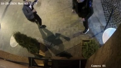 У центрі Львова знищили туї