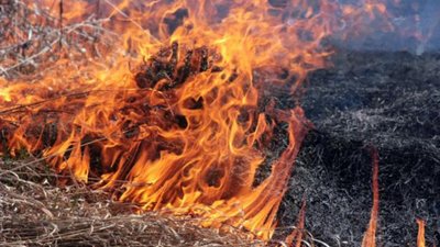 Протягом доби на Львівщині ліквідували 8 пожеж сухостою