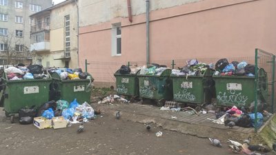 На Львівщині комунальники не вивозять сміття (ФОТО)