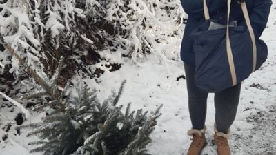 У Львові жінка у парку зрубала ялинку