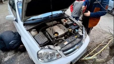 Мешканка Києва виявила під капотом свого авто мексиканську змію