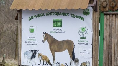 Львівська домівка врятованих тварин просить про допомогу для евакуйованих підопічних