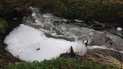 Поблизу Львова річка вкрилась густою піною