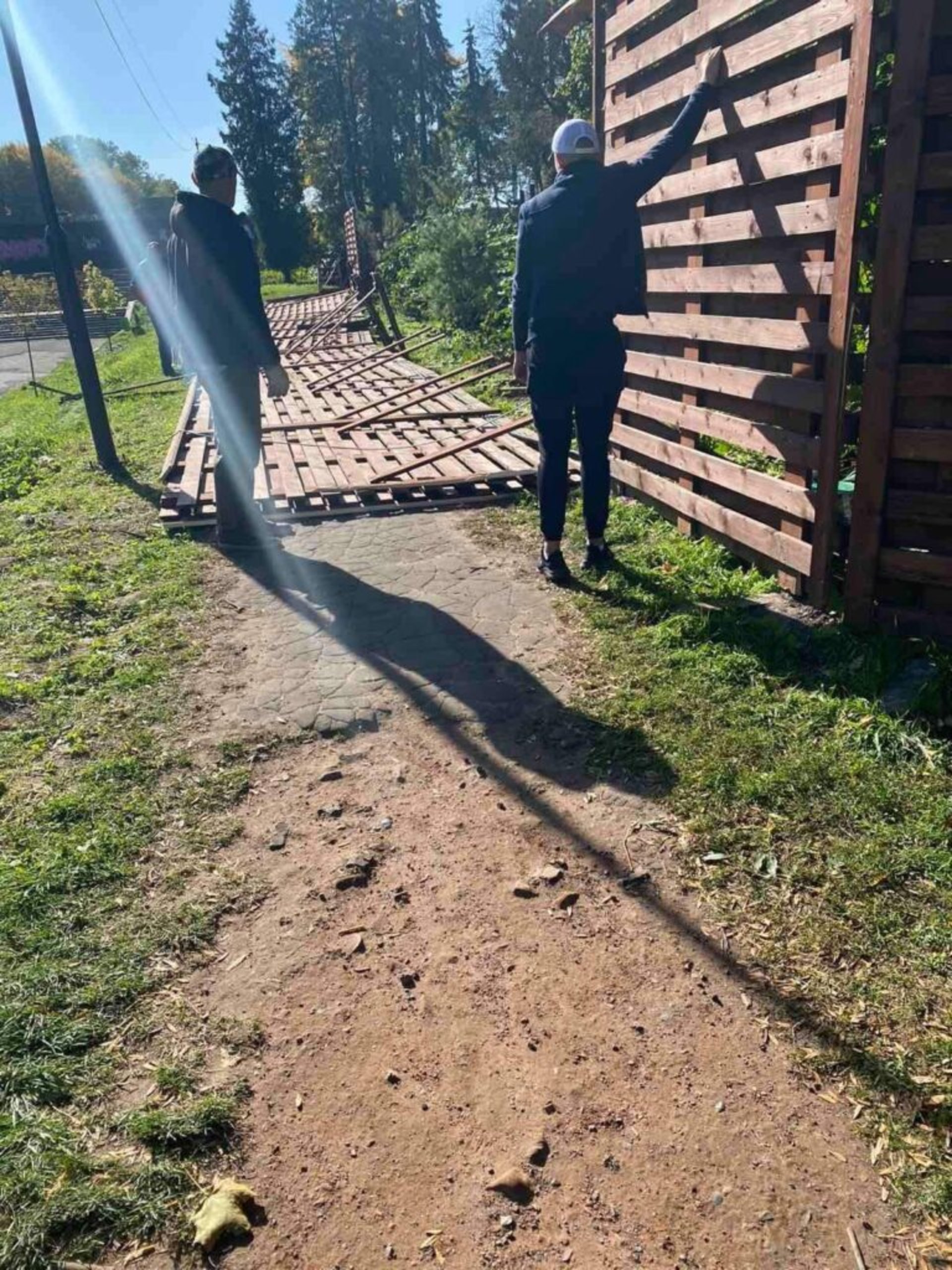 У Львові огорожа Парку динозаврів травмувала жінку
