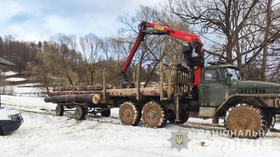 На Львівщині продовжують незаконно вирубувати ліс