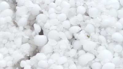 Львів від снігу чистило 29 одиниць снігоочисної техніки