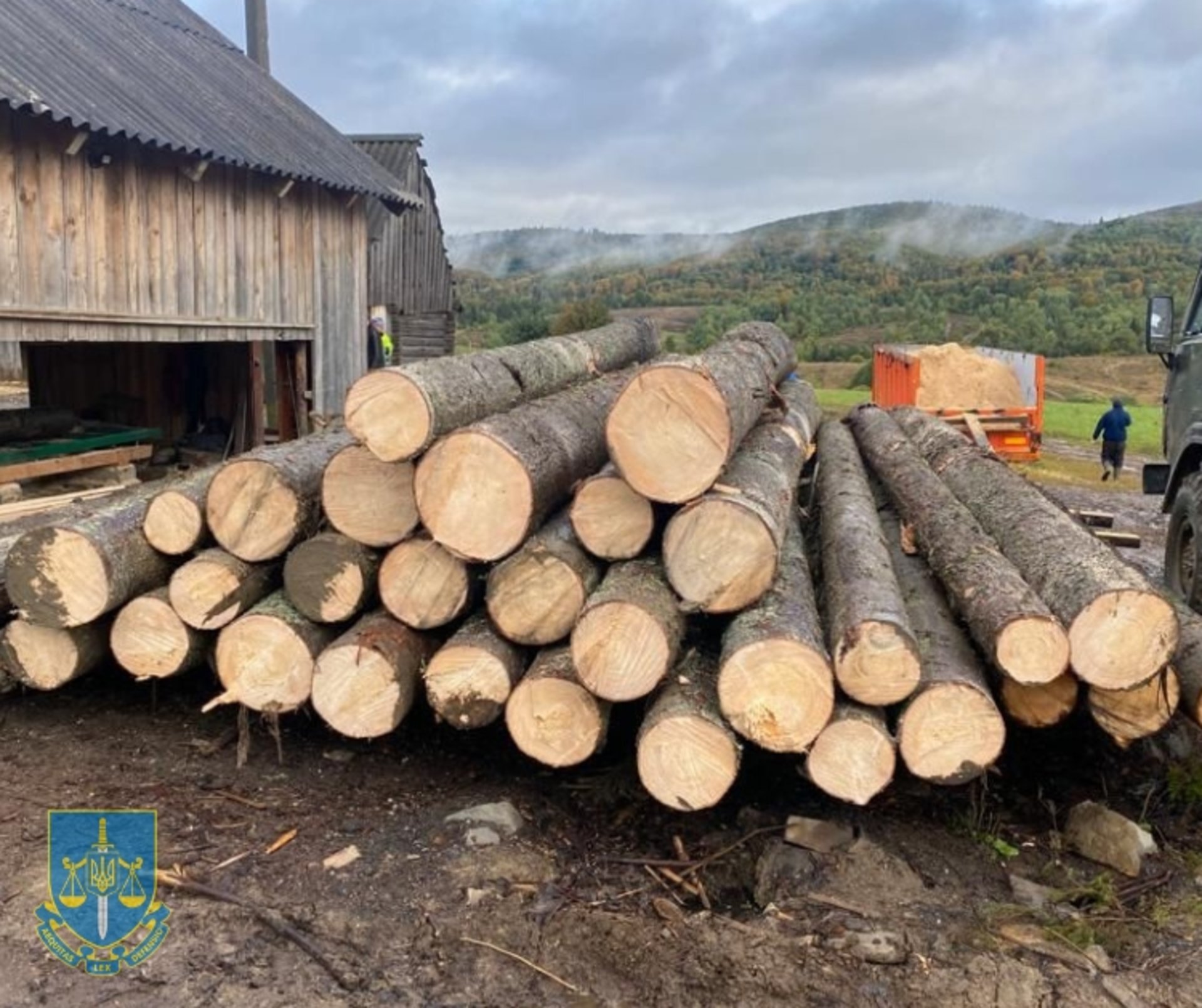 На Львівщині під час війни незаконно рубали ліс
