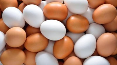 В Україні за рік виробництво яєць зменшилось на понад 16%