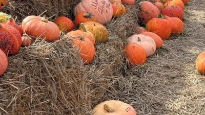 На Львівщині відкрили гарбузову локацію