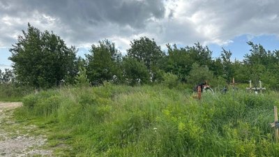 У Львові заростає Голосківське кладовище