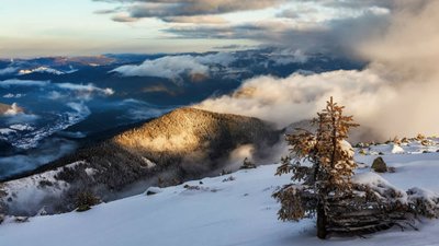 Карпати накриє сильним снігопадом