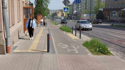У Львові на Шевченка просять висадити дерева