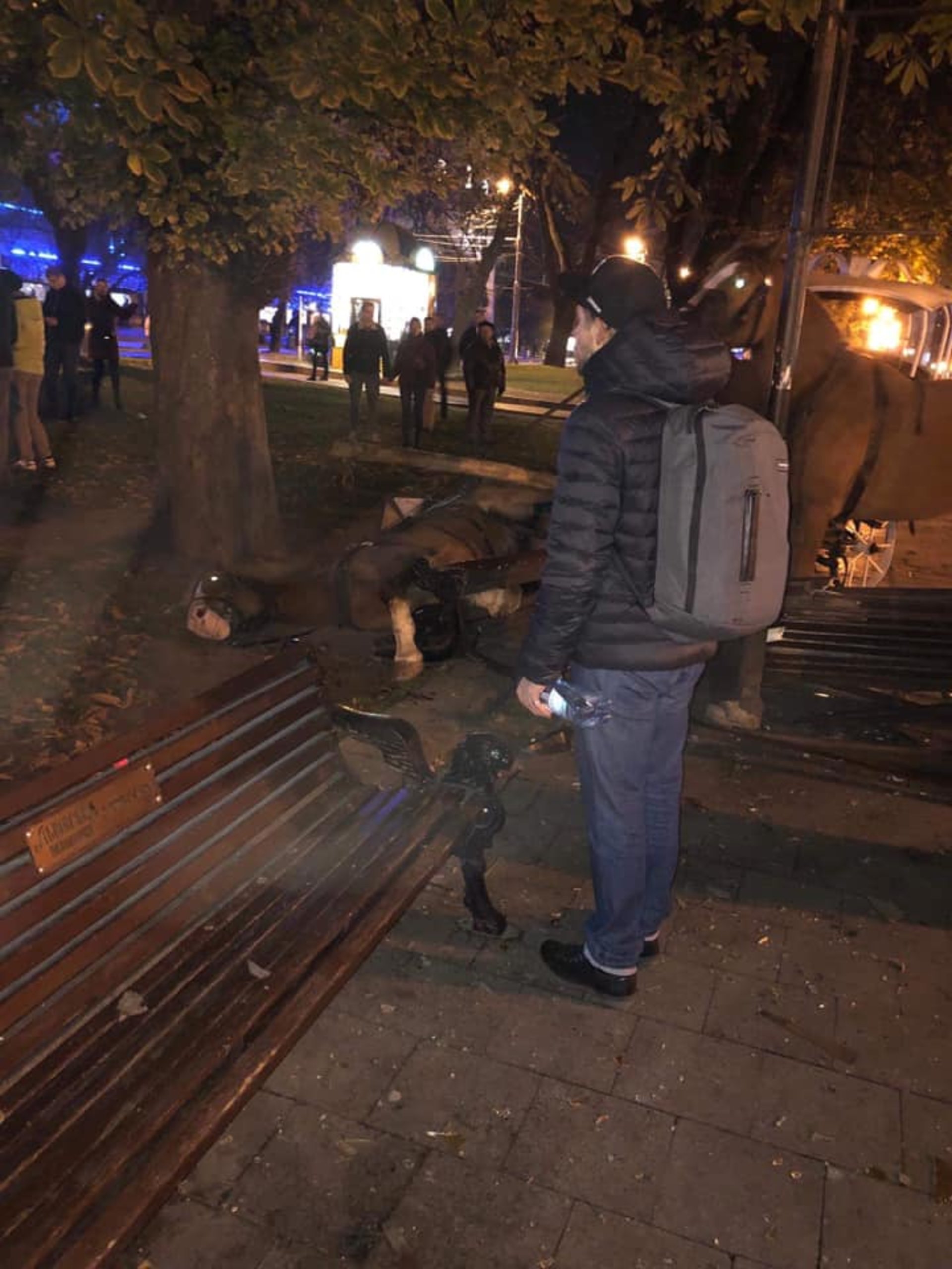У центрі Львова карета на пішохідній зоні знесла лавку: один кінь ледве дихає. Фото Варта-1
