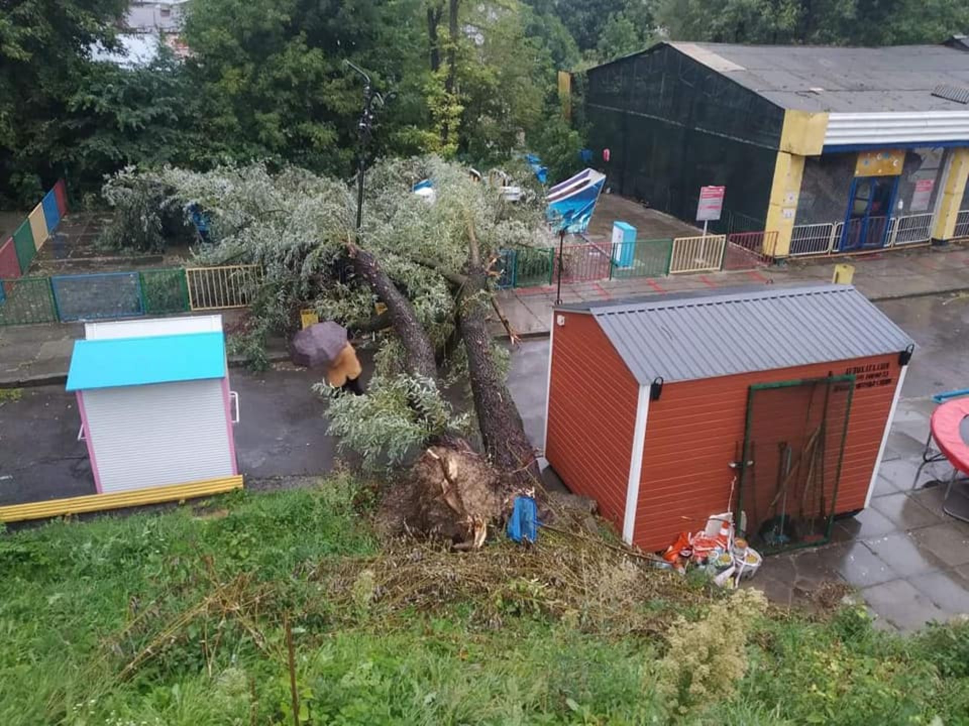У Львові у парку культури впали дерева, фото із Фб-сторінки парку