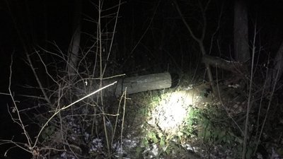 На Сокальщині виявили та припинили незаконну порубку дерев