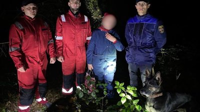 У лісі поблизу Трускавця знайдено заблукалу жінку