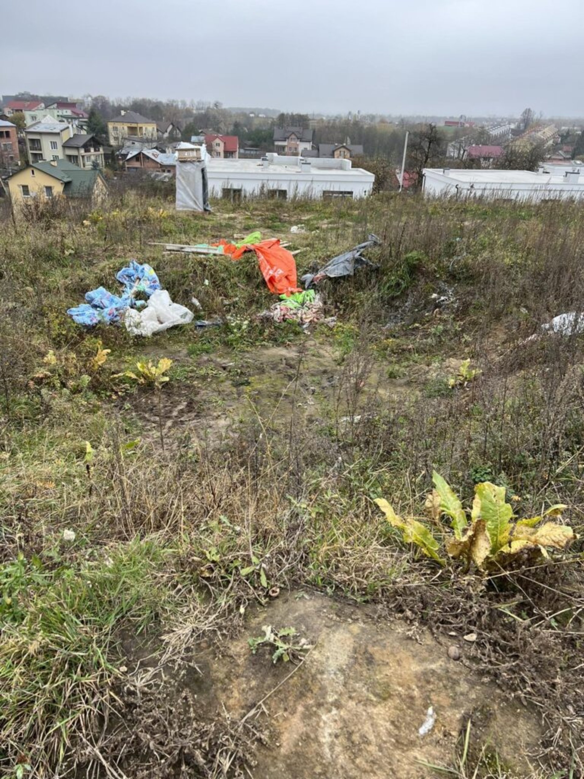 Біля Львова виявили незаконне звалище сміття