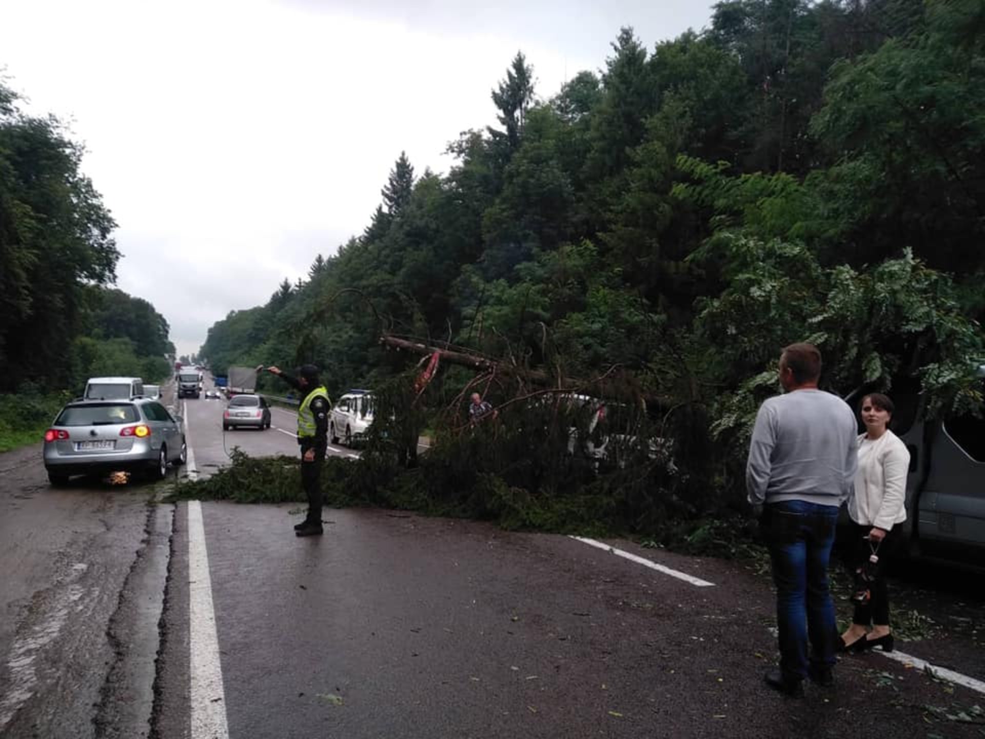 Як на міжнародній трасі на Львівщині дерево понищило автомобілі. Фото Варта-1