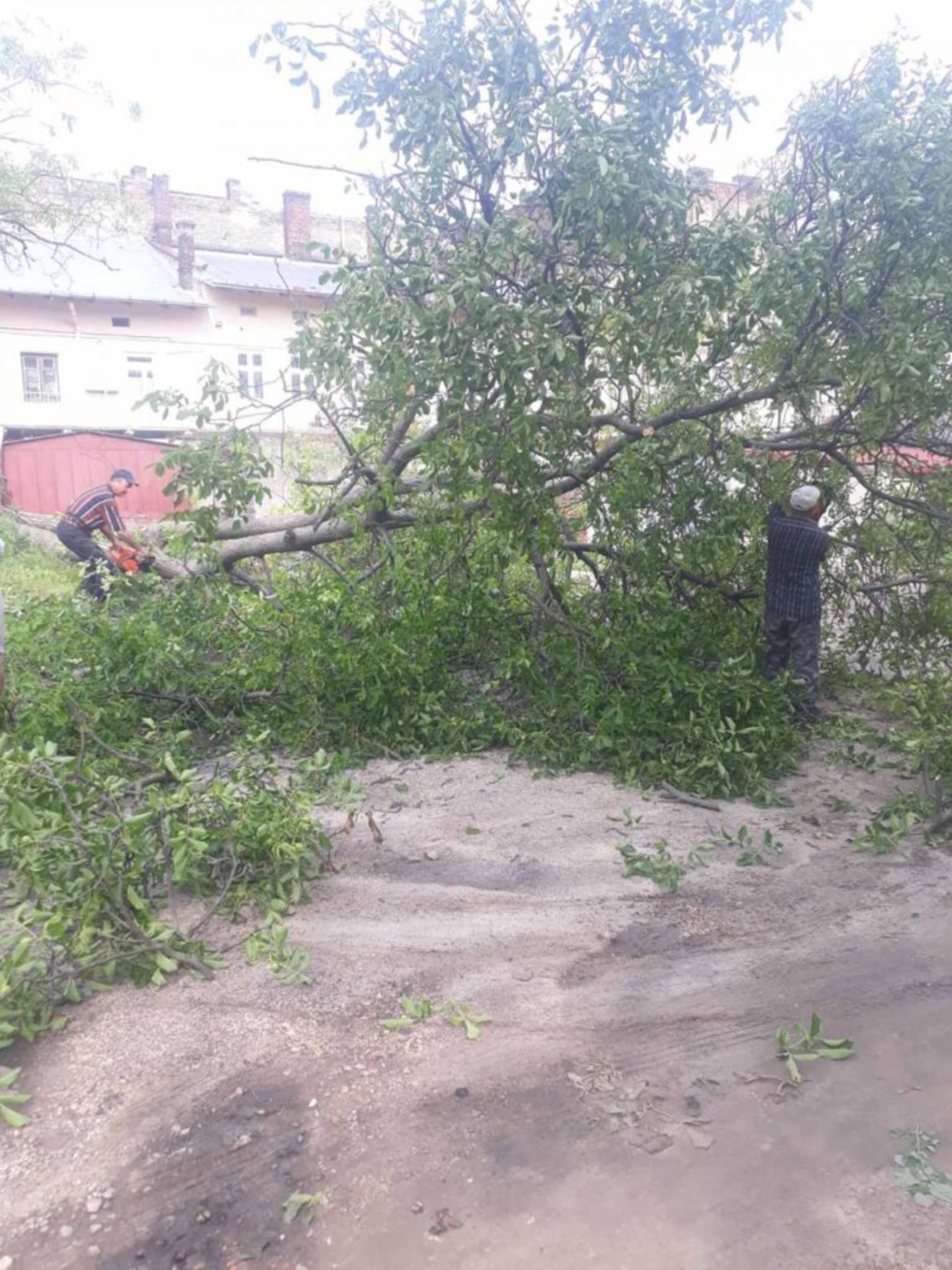 У Львові комунальники продовжують прибирати наслідки негоди, фото ЛМР