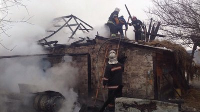 На Львівщині під час пожежі загинули кози
