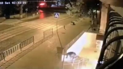 У центрі Львова згорів зоомаркет, який відкрився місяць тому